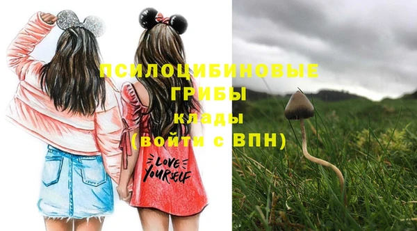 метадон Бородино