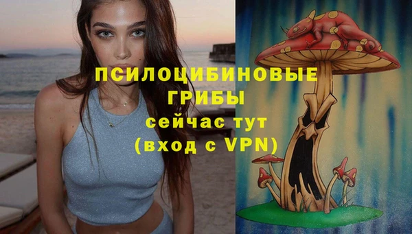 прущая мука Бронницы