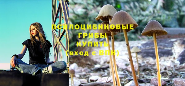 метадон Бородино