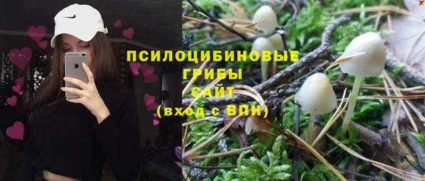 метадон Бородино