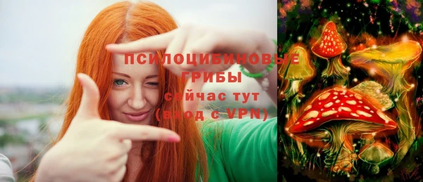прущая мука Бронницы